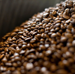 Uganda’s Coffee Exports Jump 59% in September on Bumper Harvest