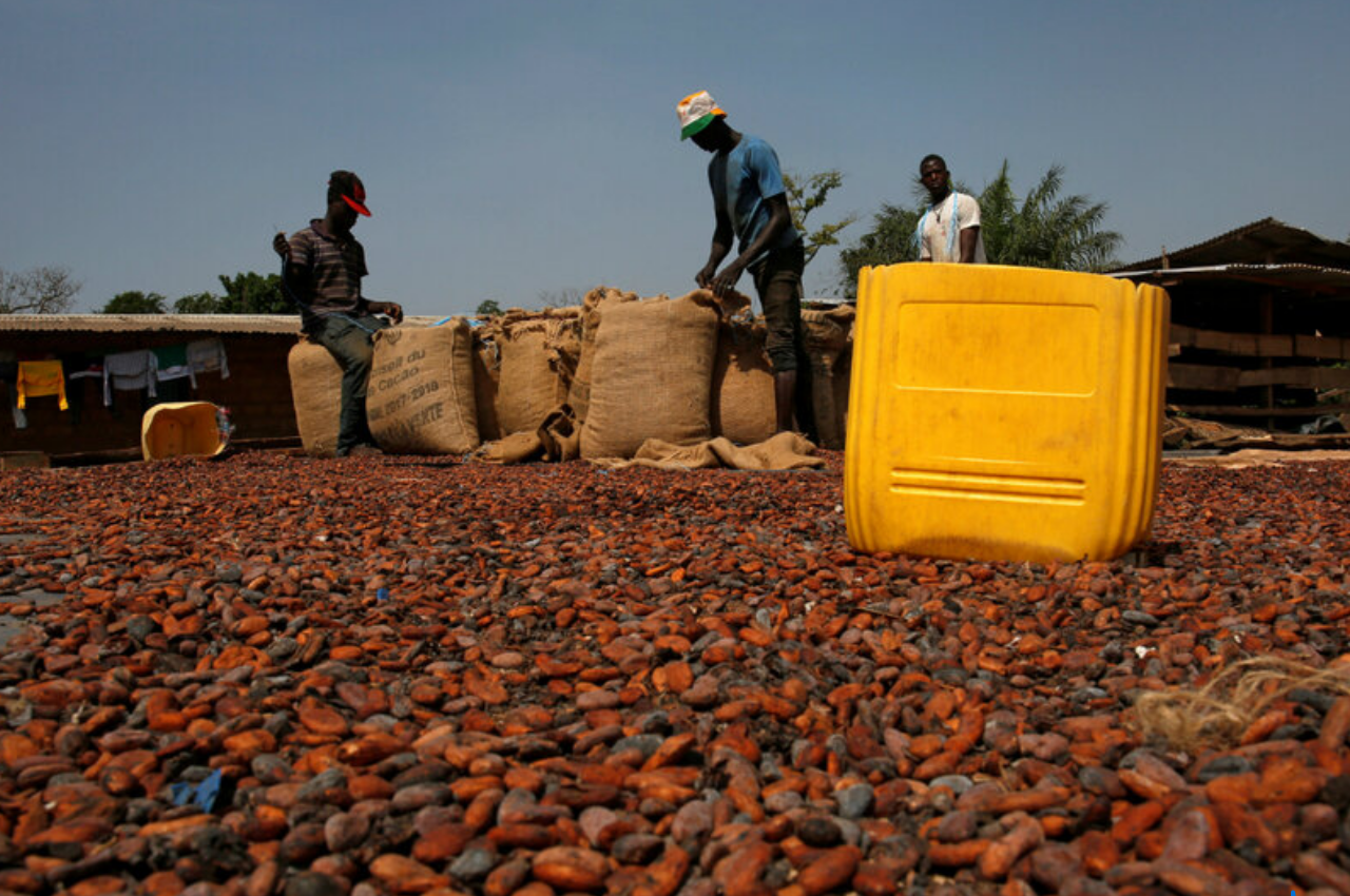Ivory Coast Faces Rising Unsold Cocoa Stocks as Price Dispute Slows Trade