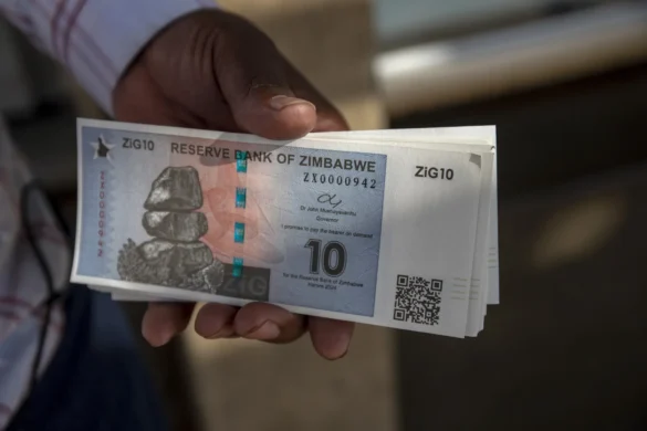 ZiG banknotes